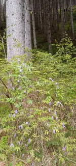 20260514_084012.webp
