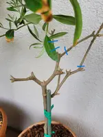 20260514_152813.webp