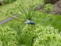 080.webp 080.webp