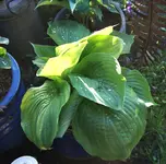 DSC01215.webp
