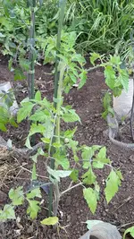 IMG_8401.webp