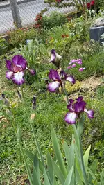 IMG_8357.webp