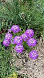 IMG_8359.webp