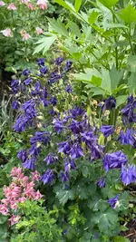 IMG_8368.webp