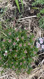 IMG_8364.webp