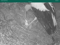 IMG_2395.webp