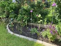 Staudenbeet.webp