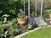 Staudenbeet1.webp