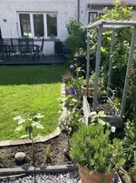 Staudenbeet3.webp