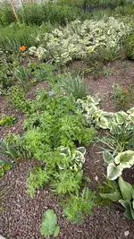 IMG_8435.webp