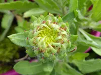 010.webp