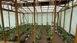 IMG_8458.webp IMG_8458.webp