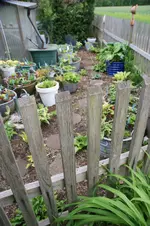 DSC01222.webp