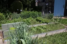 Mai   0626.webp
