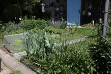 Mai   1026.webp