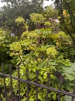IMG_6804.webp