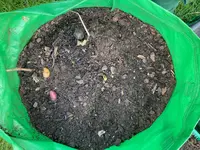 Kartoffeln*Ernte*25-10-01*Sac*01.webp Kartoffeln*Ernte*25-10-01*Sac*01.webp