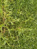 IMG_0425.webp