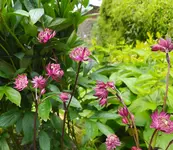 IMG_20260520_121032.webp