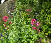 IMG_20260520_121052~2.webp