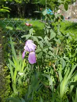IMG_20260520_123207~3.webp