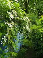 IMG_20260520_123235.webp