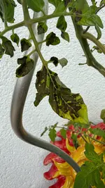 IMG_3293.webp