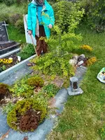 Strauch mit Stacheln IMG_20260520_ 122406.webp