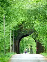 003.webp