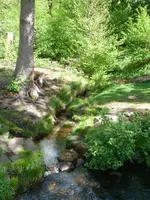 009.webp