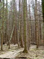 022.webp