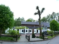 004.webp