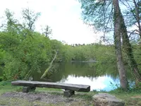005.webp