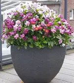 Gallery_1779468824414.webp