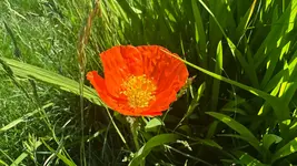 IMG_738596F96AF9-1.webp
