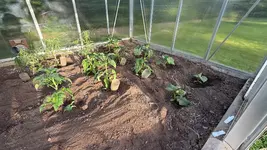 IMG_8539.webp IMG_8539.webp