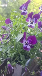 IMG-20260524-WA0005.webp