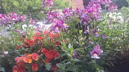 IMG-20260524-WA0001.webp