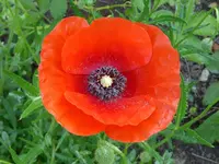 001.webp 001.webp