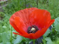 006.webp 006.webp