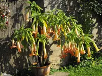 DSCF0219.webp