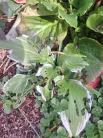 20260524_175005.webp