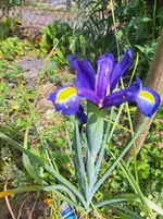 20260524_145718.webp