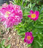 20260524_145646.webp
