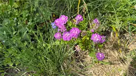 IMG_8557.webp