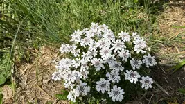 IMG_8560.webp