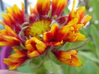 9.webp