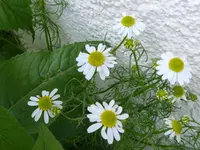 10.webp