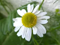 11.webp