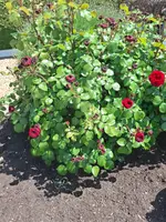 20260525_140246.webp